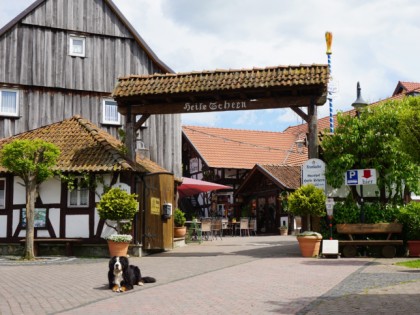 Foto: Heile Schern 